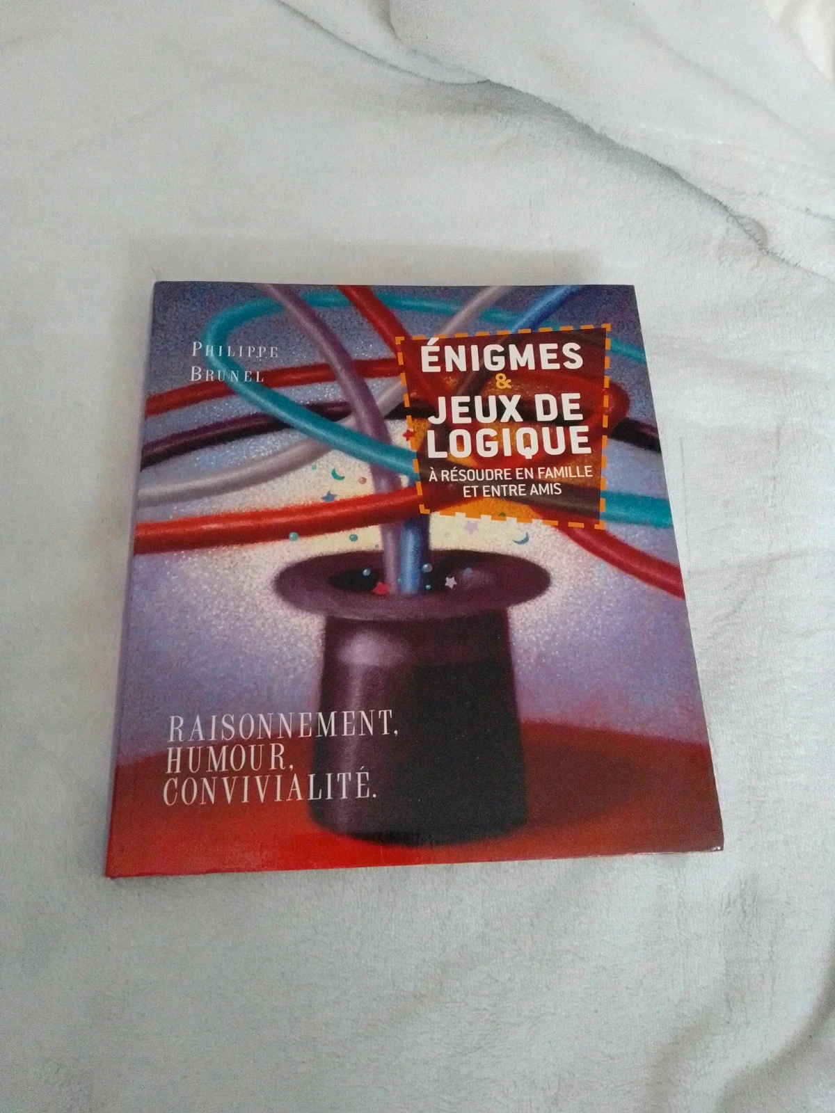 Énigmes et jeux de logique